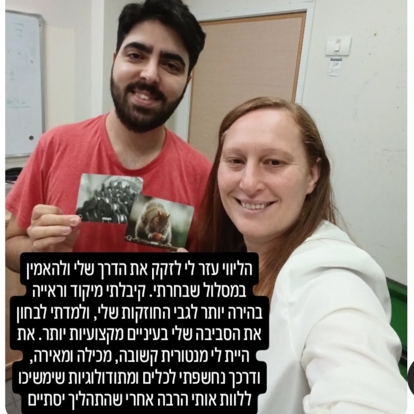 המלצה 13